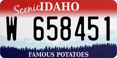 ID license plate W658451
