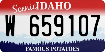 ID license plate W659107