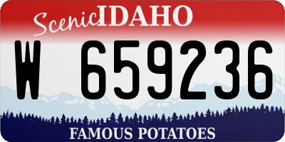 ID license plate W659236