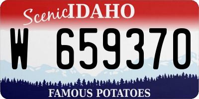 ID license plate W659370