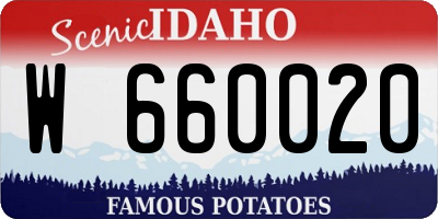 ID license plate W660020