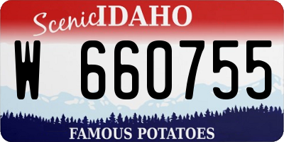 ID license plate W660755