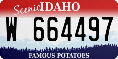 ID license plate W664497