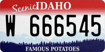 ID license plate W666545
