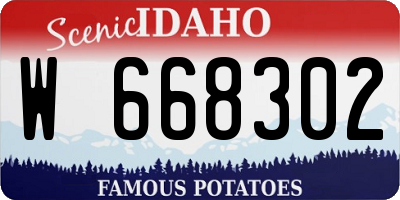 ID license plate W668302