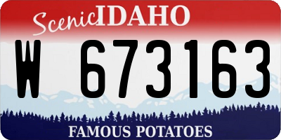 ID license plate W673163