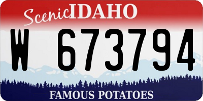 ID license plate W673794