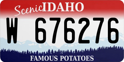 ID license plate W676276