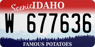 ID license plate W677636