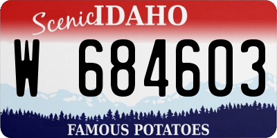 ID license plate W684603