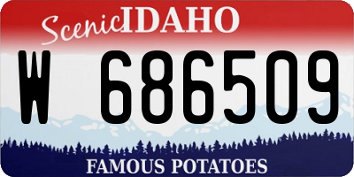 ID license plate W686509