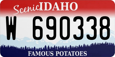 ID license plate W690338