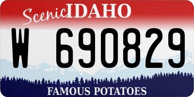 ID license plate W690829