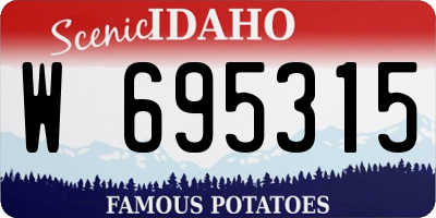 ID license plate W695315