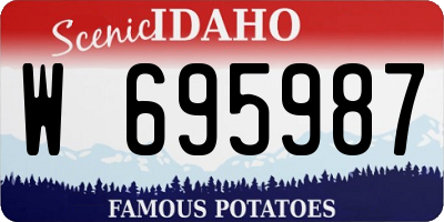 ID license plate W695987