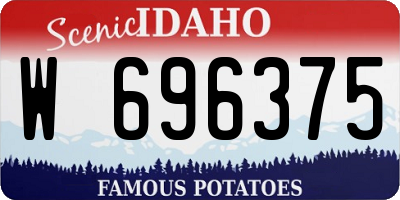ID license plate W696375