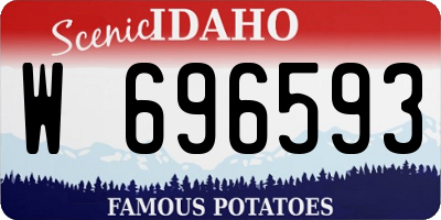 ID license plate W696593