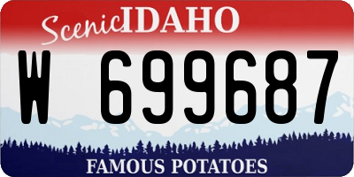 ID license plate W699687