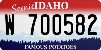 ID license plate W700582