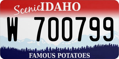 ID license plate W700799