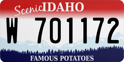 ID license plate W701172