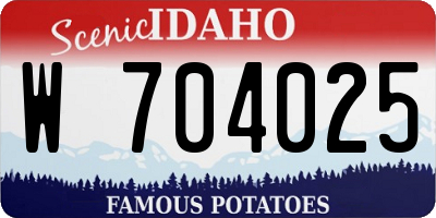 ID license plate W704025