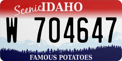 ID license plate W704647