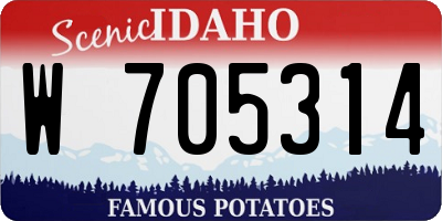 ID license plate W705314
