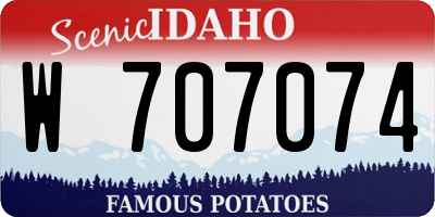 ID license plate W707074