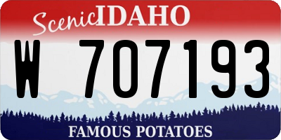 ID license plate W707193