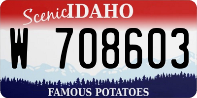 ID license plate W708603