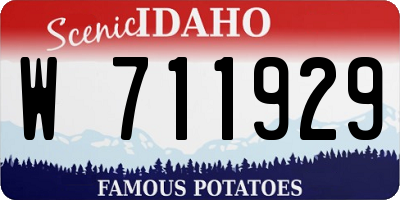 ID license plate W711929