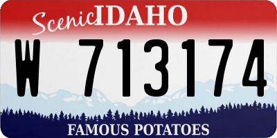 ID license plate W713174
