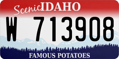 ID license plate W713908