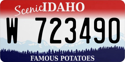 ID license plate W723490