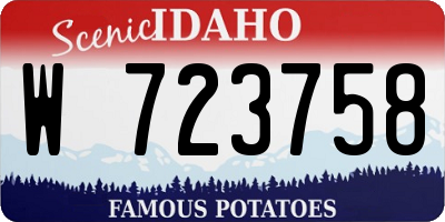 ID license plate W723758