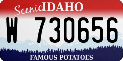 ID license plate W730656