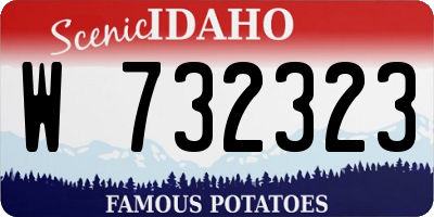 ID license plate W732323