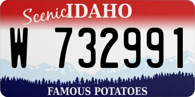ID license plate W732991