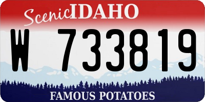 ID license plate W733819