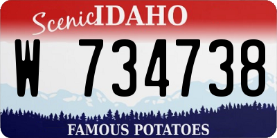 ID license plate W734738