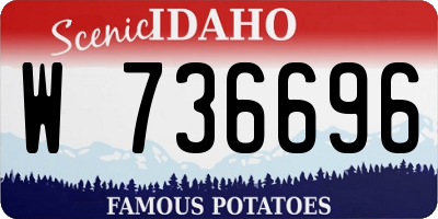 ID license plate W736696