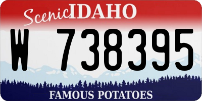 ID license plate W738395