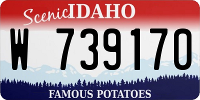 ID license plate W739170