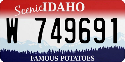 ID license plate W749691