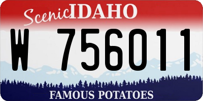 ID license plate W756011