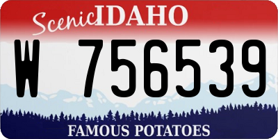 ID license plate W756539