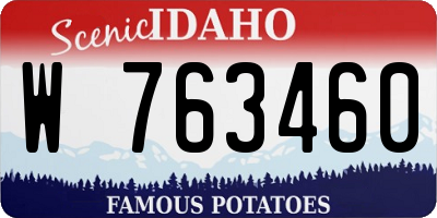 ID license plate W763460