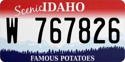 ID license plate W767826