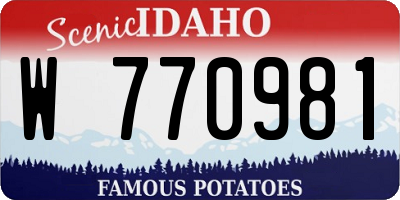 ID license plate W770981